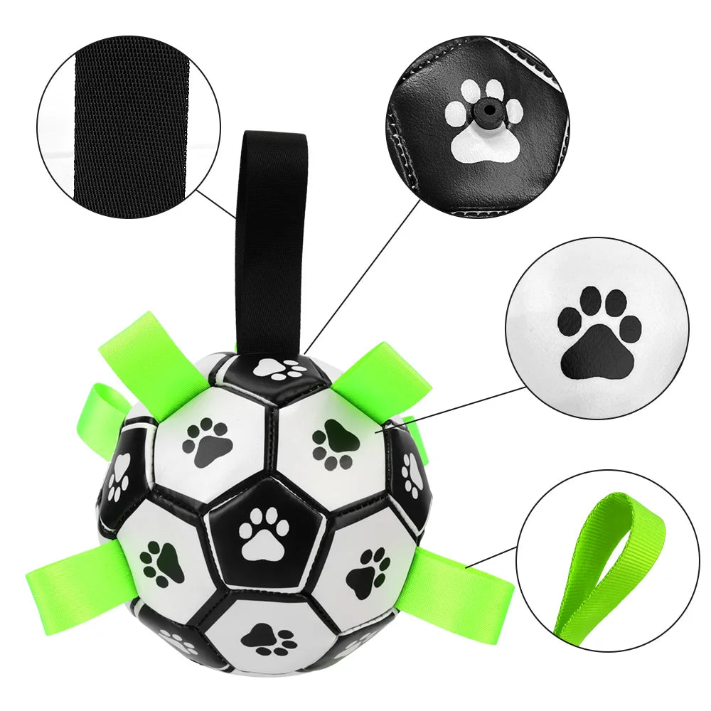 PawsPlay Interactive PupBall